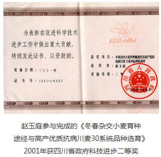 公司简介