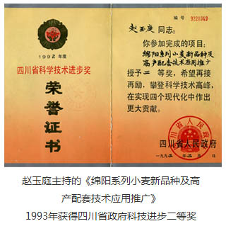 公司简介